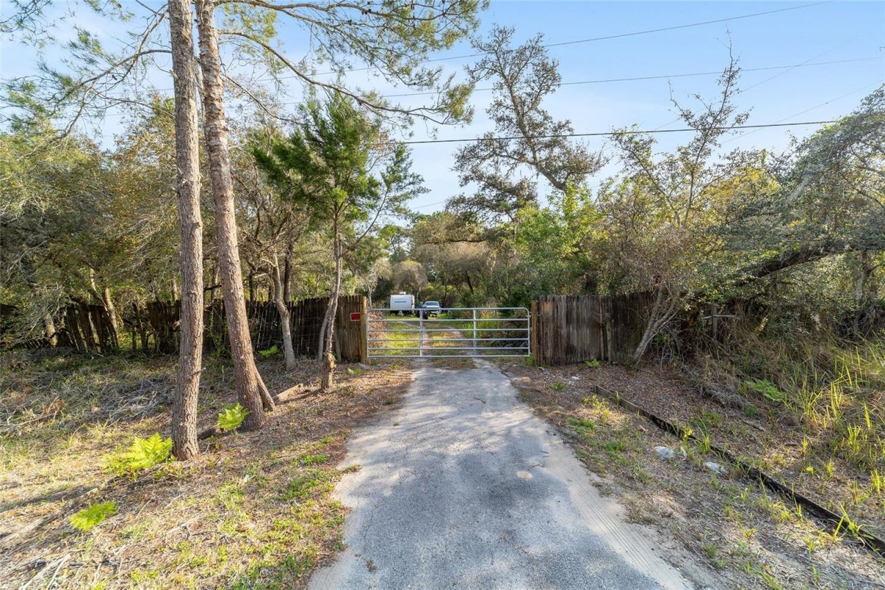 475 Fisher Road, Ocklawaha, FL 32179 Photo