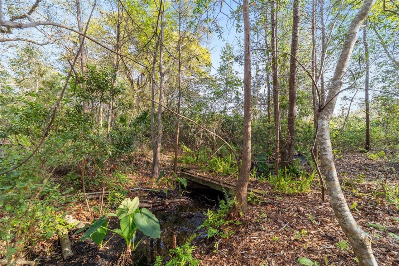 475 Fisher Road, Ocklawaha, FL 32179 Photo