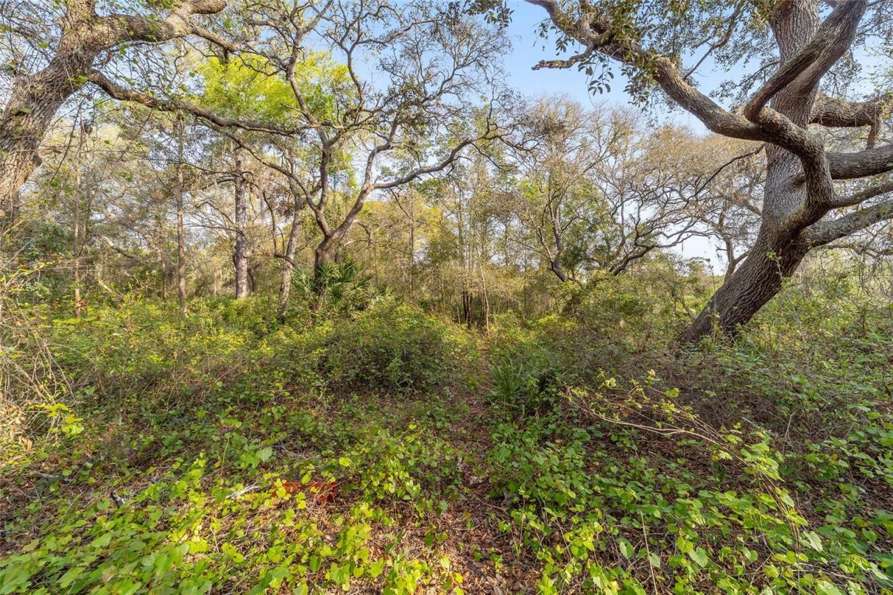 475 Fisher Road, Ocklawaha, FL 32179 Photo