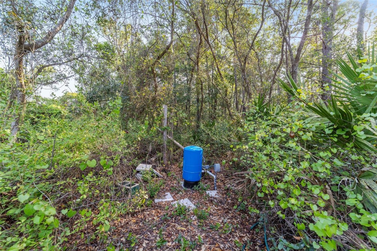 475 Fisher Road, Ocklawaha, FL 32179 Photo