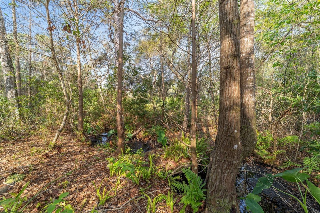 475 Fisher Road, Ocklawaha, FL 32179 Photo