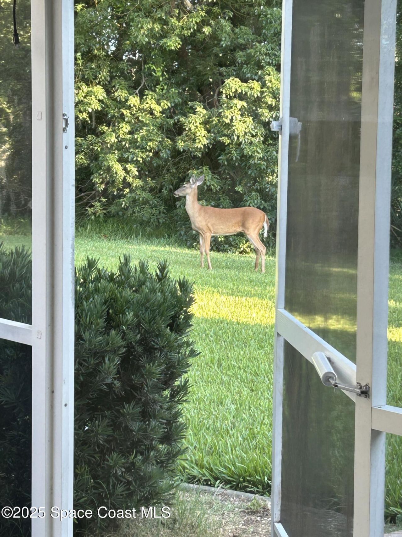 5670 Bob White Trail, Mims, FL 32754 Photo