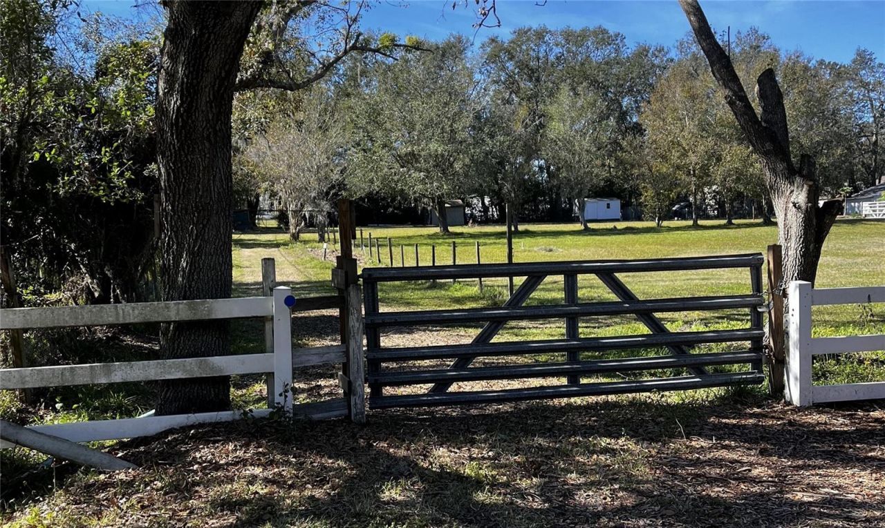 0 N Dover Road, Dover, FL 33527 Main Photo