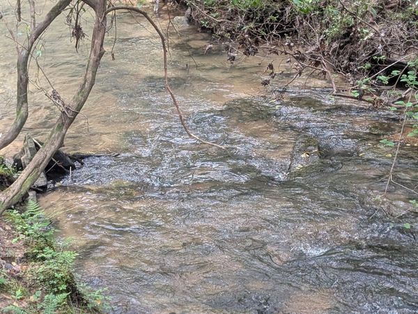 0 55th Ave East of, Gruetli Laager, TN 37339