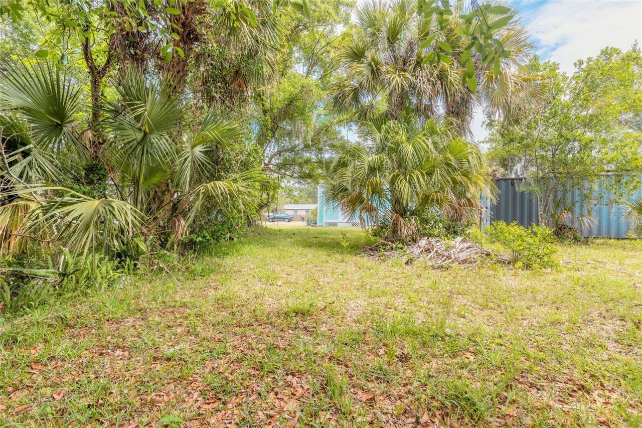 306 Sheldon Street, New Smyrna Beach, FL 32168 Photo
