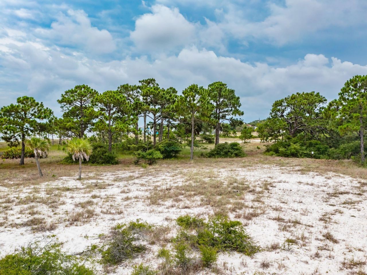 710 Bald Point Road, Bald Point, FL 32346 Photo