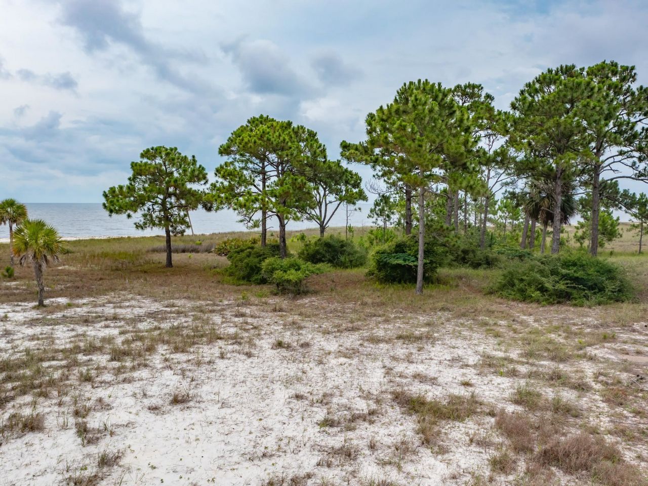710 Bald Point Road, Bald Point, FL 32346 Photo