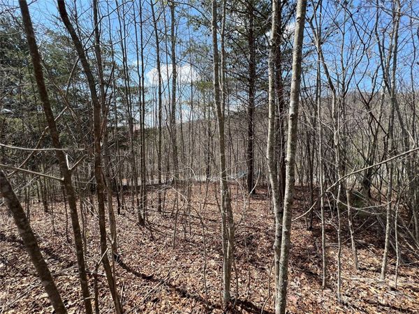 192 Pine Cone Trail, Marshall, NC 28753