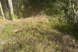 220 N Highway 52 photo 4