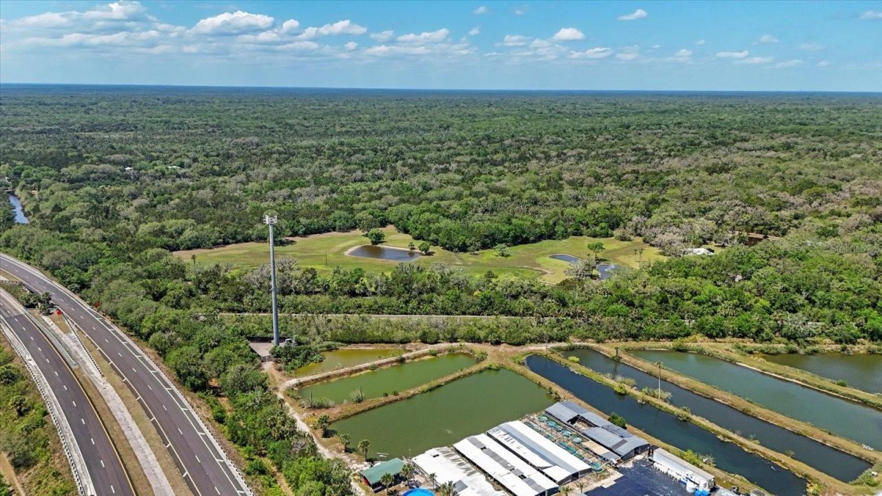 800 Hidden Oaks Lane, Oak Hill, FL 32759 Photo