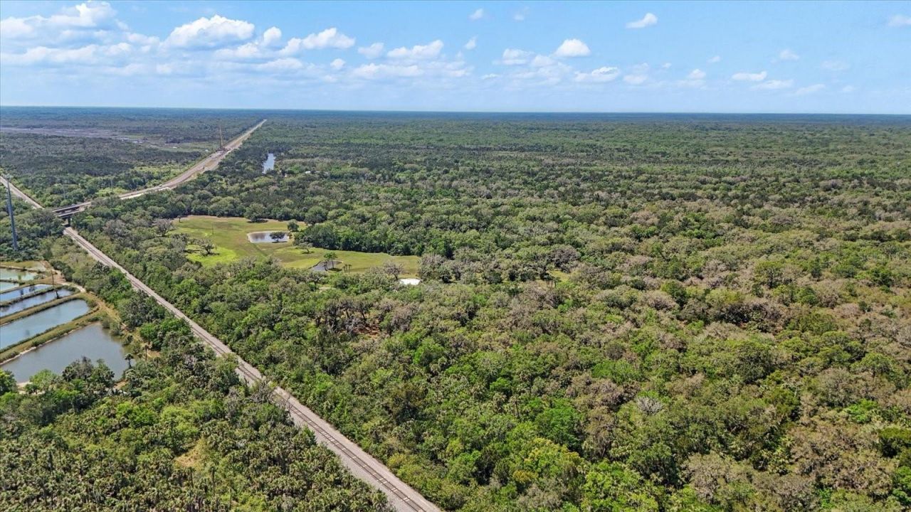 800 Hidden Oaks Lane, Oak Hill, FL 32759 Photo