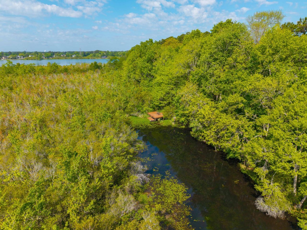 133 Hanahan Plantation Circle Photo 38