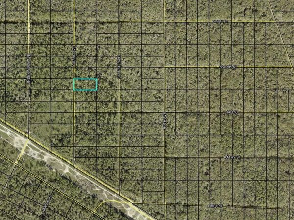 XXX TURPIN AVE AVENUE, HASTINGS, FL 32145