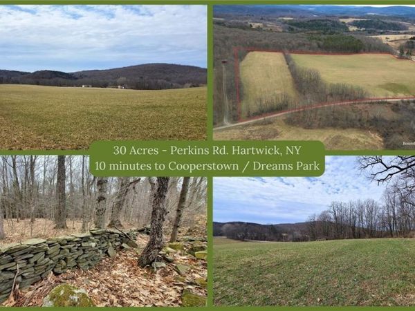 0 Perkins Road, Cooperstown, NY 13348