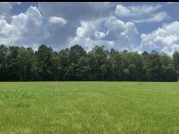 2697 River Road, Silver Creek, MS 39663