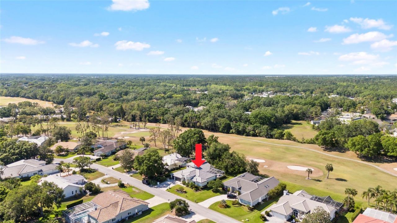 30247 Fairway Drive, Wesley Chapel, FL 33543 Photo