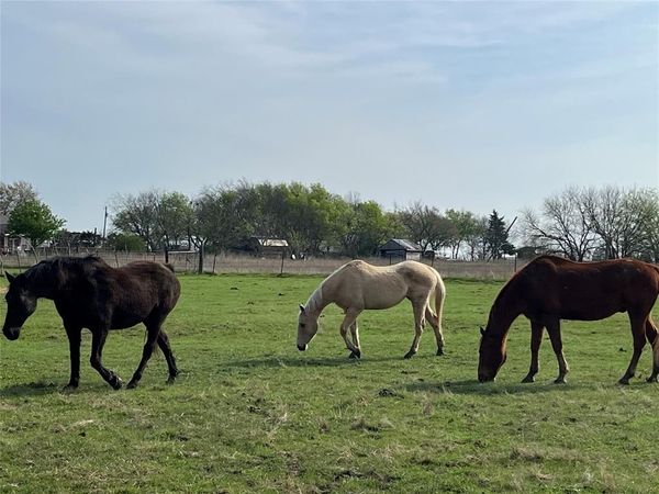 4605 County Road 4511, Commerce, TX 75428