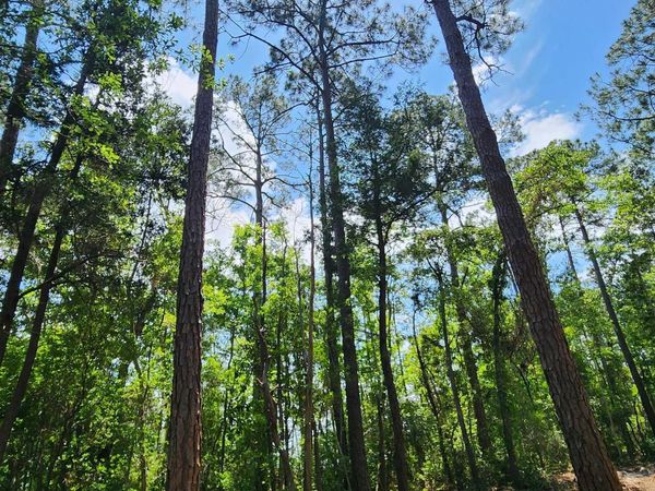 0 7th Street, Lillian, AL 36549