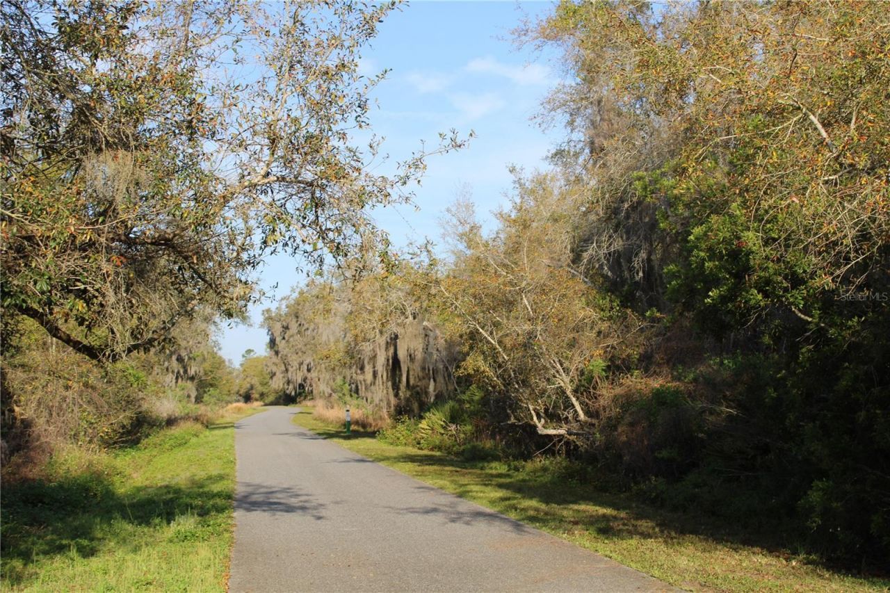 Doyle Road, Osteen, FL 32764 Photo