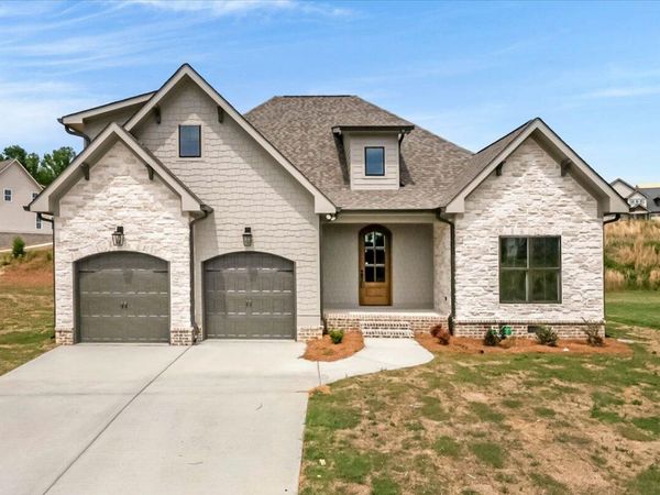 10597 Brownspring Drive, Apison, TN 37302