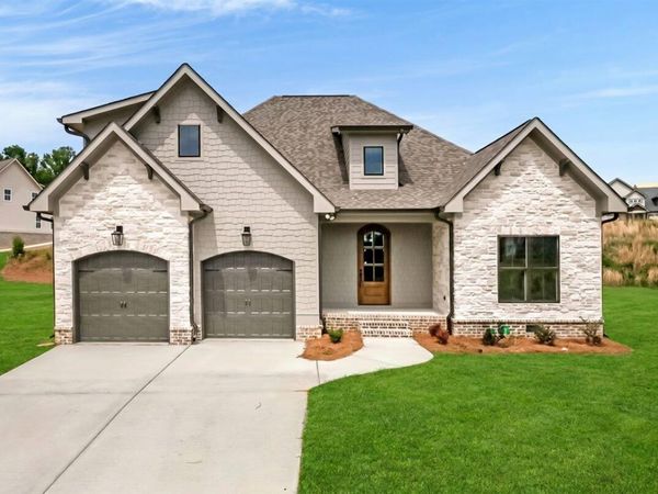 10597 Brownspring Drive, Apison, TN 37302