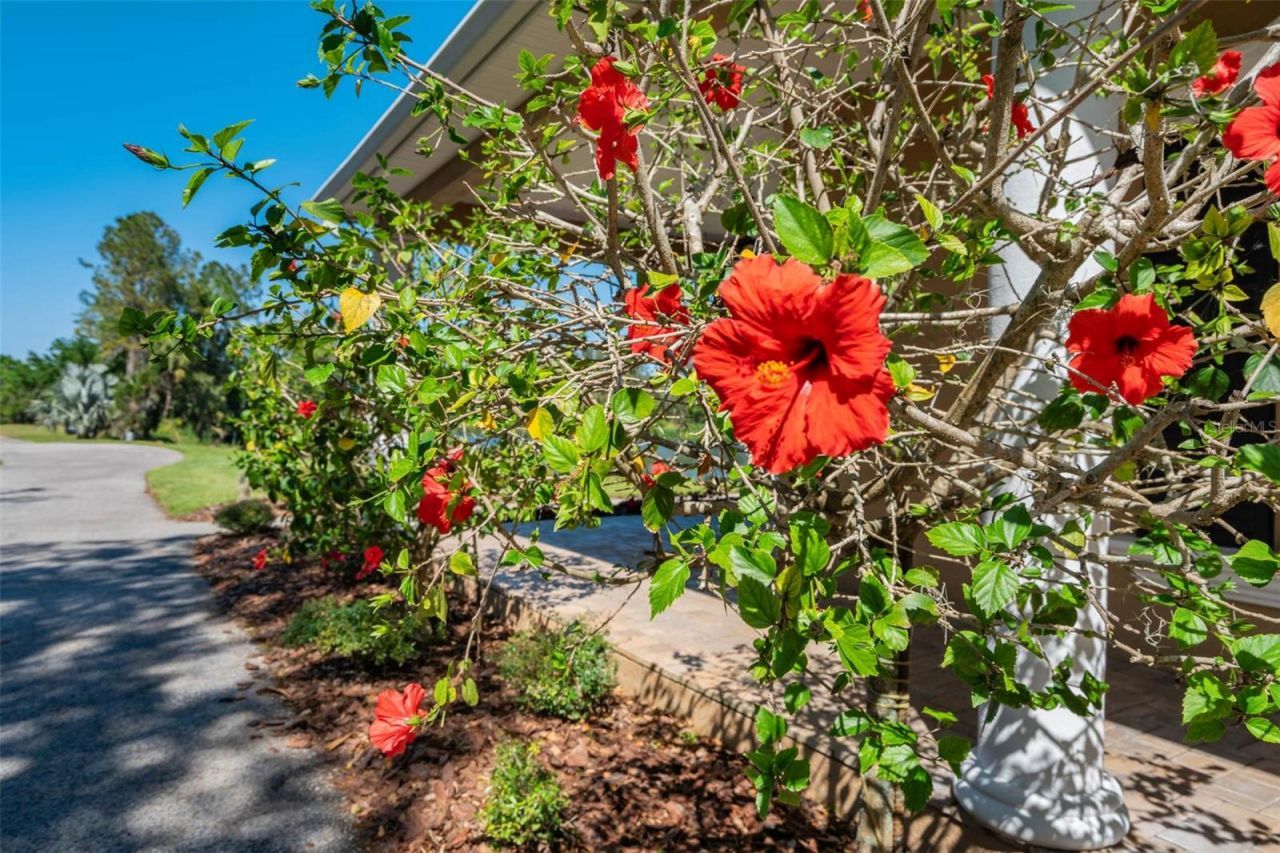 701 E 60 Highway, Plant City, FL 33567 Photo