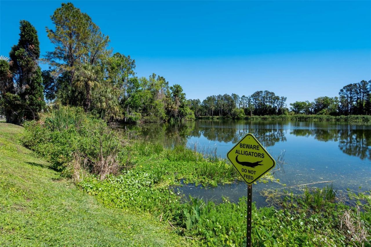 701 E 60 Highway, Plant City, FL 33567 Photo