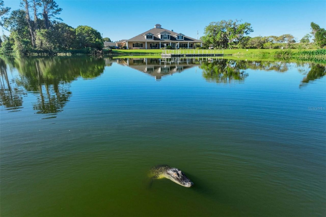 701 E 60 Highway, Plant City, FL 33567 Photo