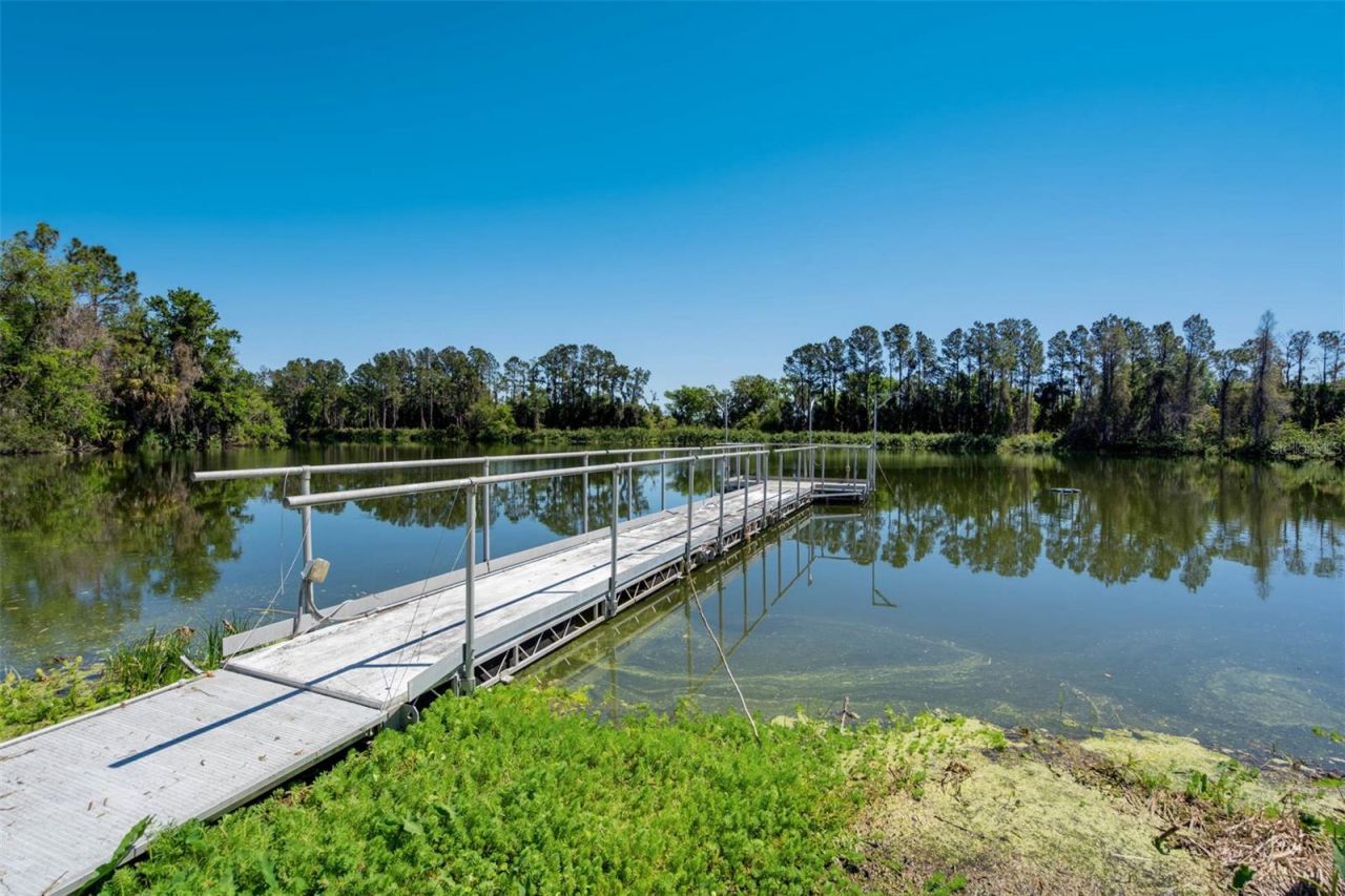 701 E 60 Highway, Plant City, FL 33567 Photo