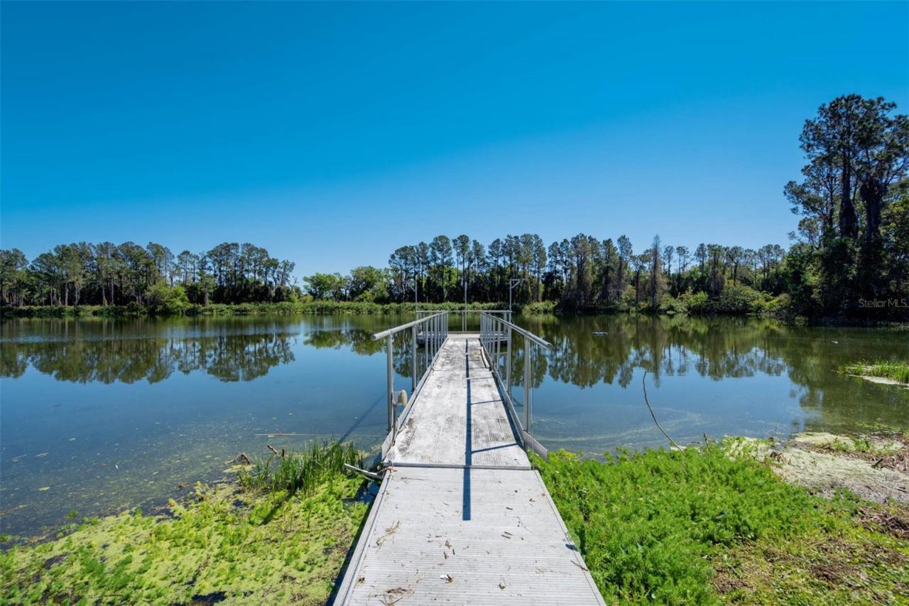 701 E 60 Highway, Plant City, FL 33567 Photo