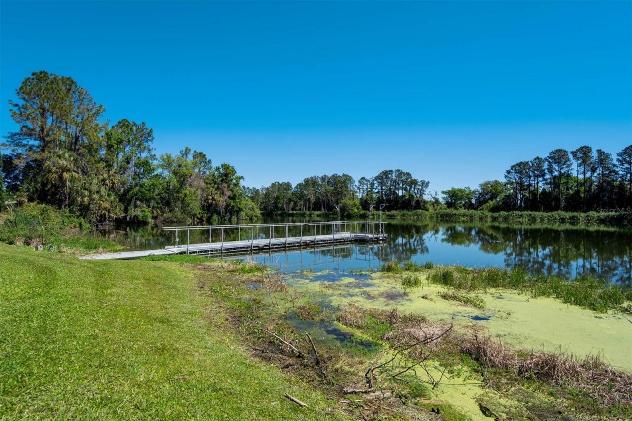 701 E 60 Highway, Plant City, FL 33567 Photo