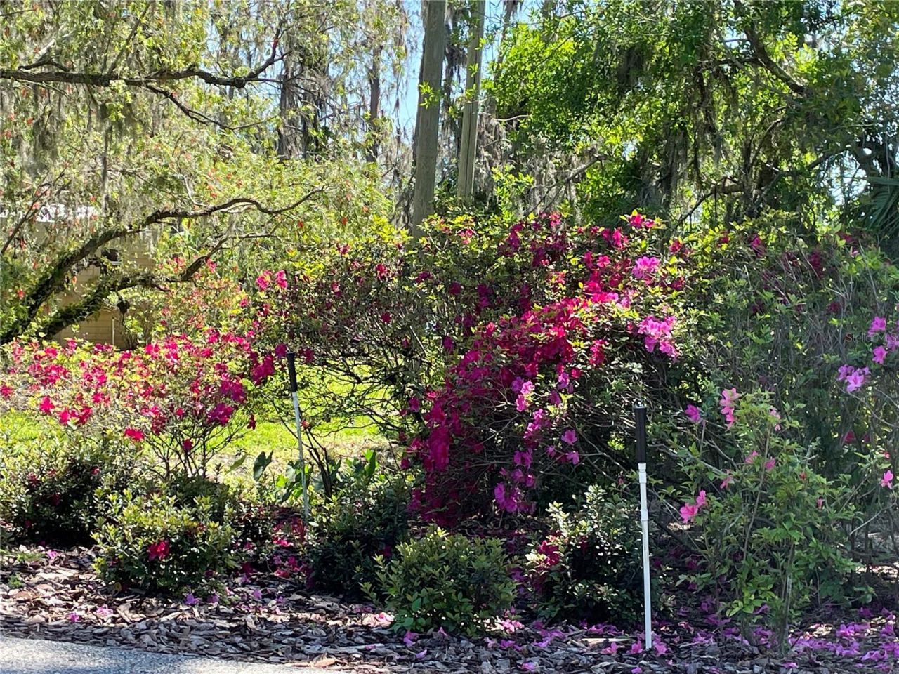 701 E 60 Highway, Plant City, FL 33567 Photo