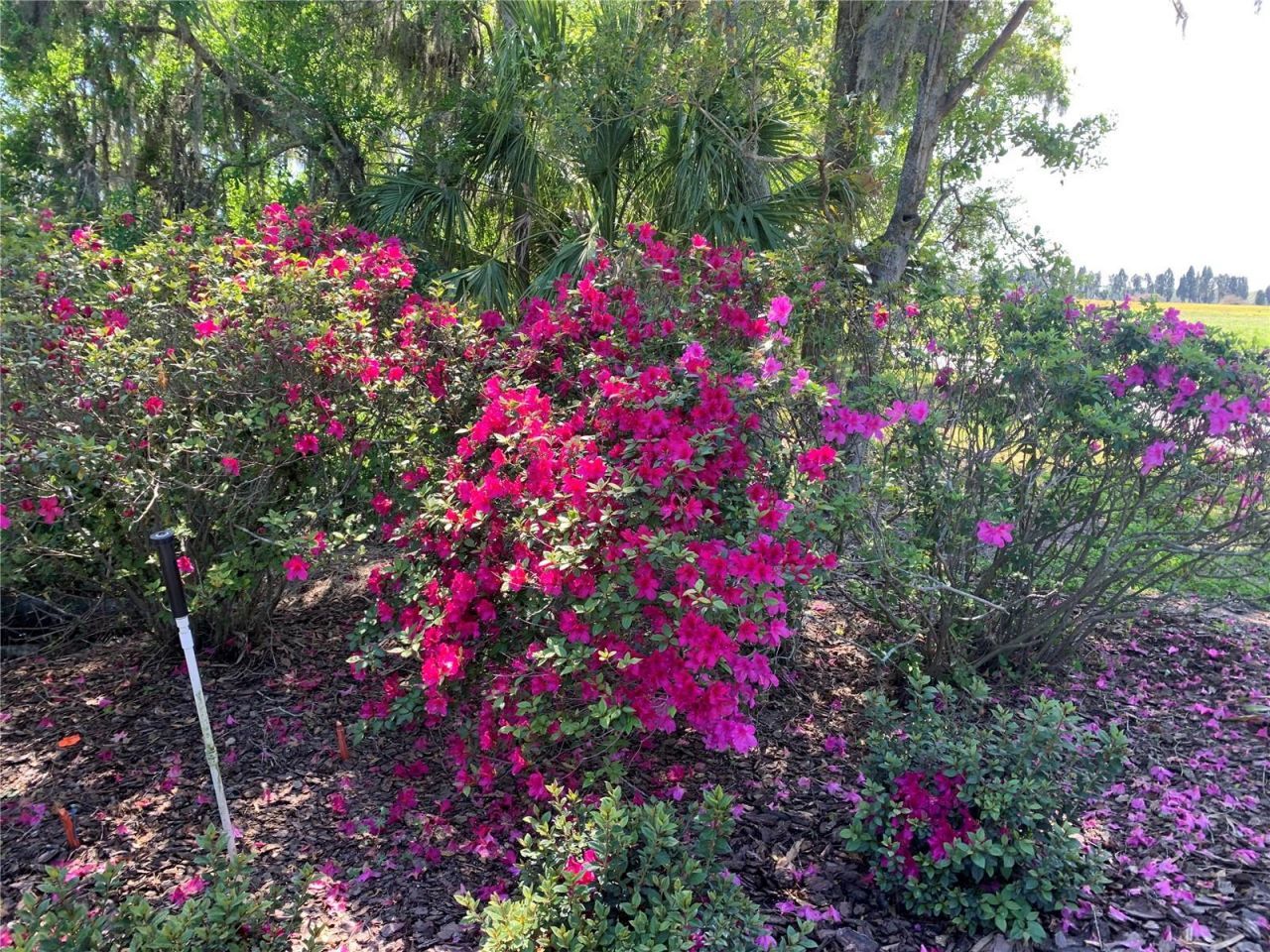 701 E 60 Highway, Plant City, FL 33567 Photo