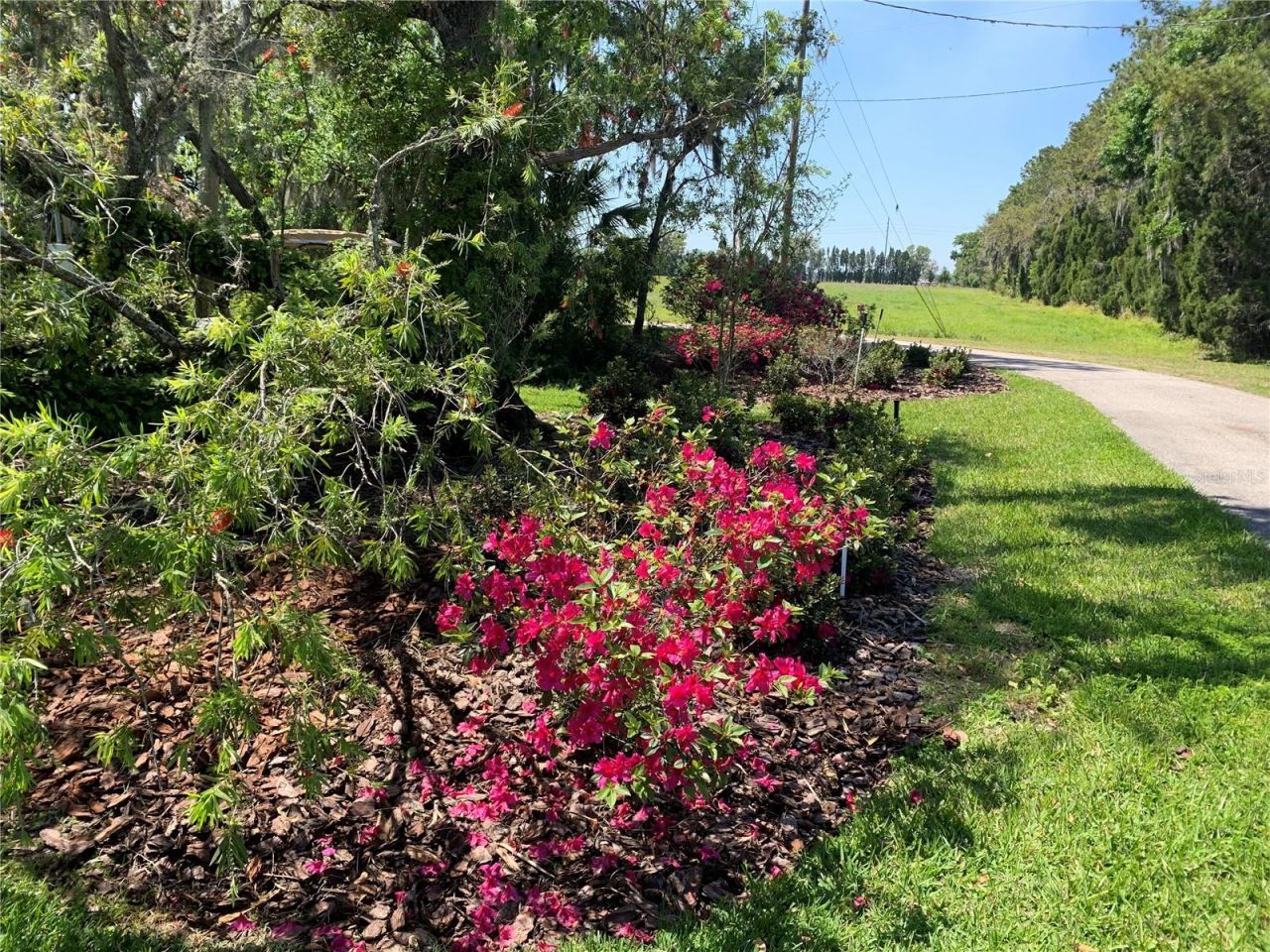 701 E 60 Highway, Plant City, FL 33567 Photo