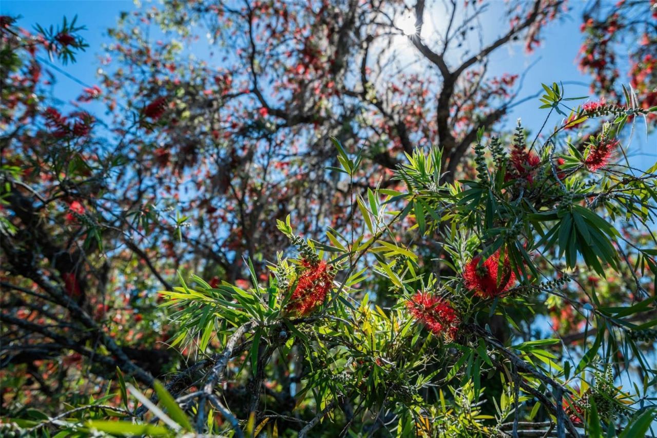 701 E 60 Highway, Plant City, FL 33567 Photo