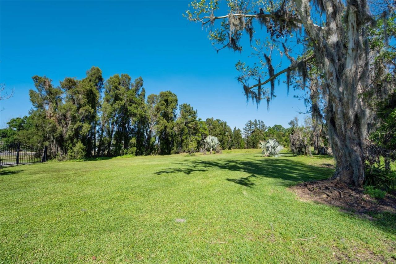 701 E 60 Highway, Plant City, FL 33567 Photo