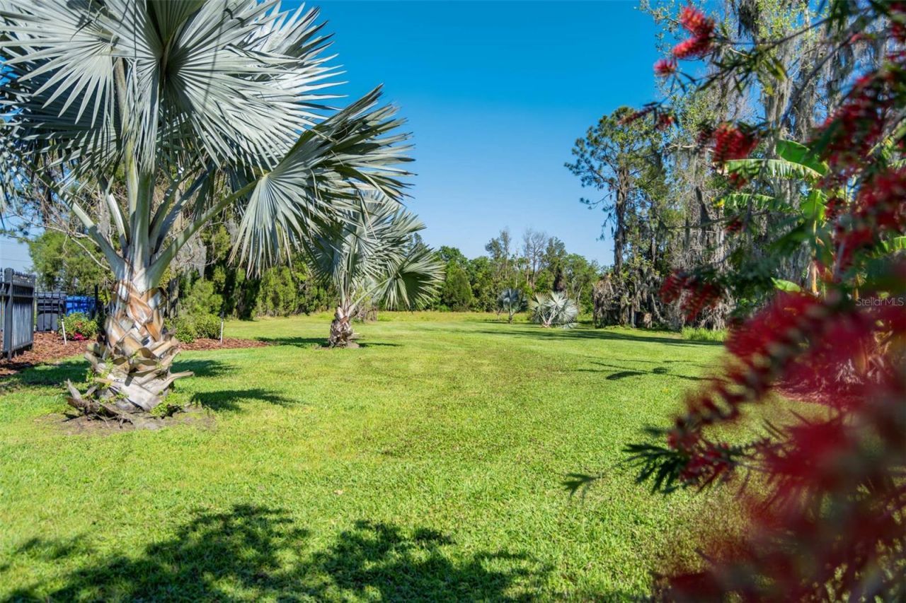 701 E 60 Highway, Plant City, FL 33567 Photo