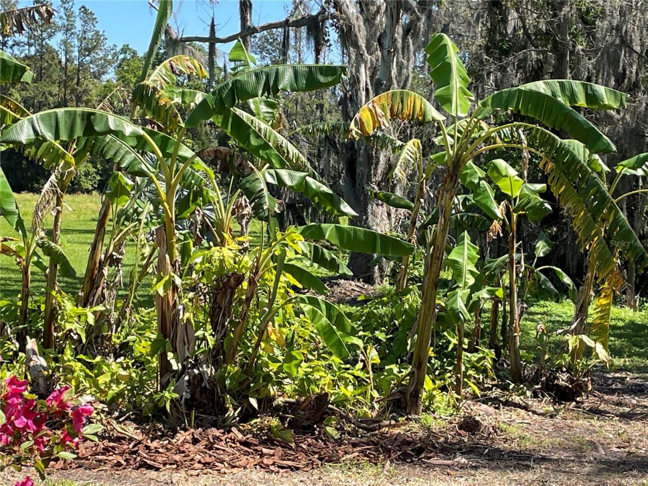 701 E 60 Highway, Plant City, FL 33567 Photo