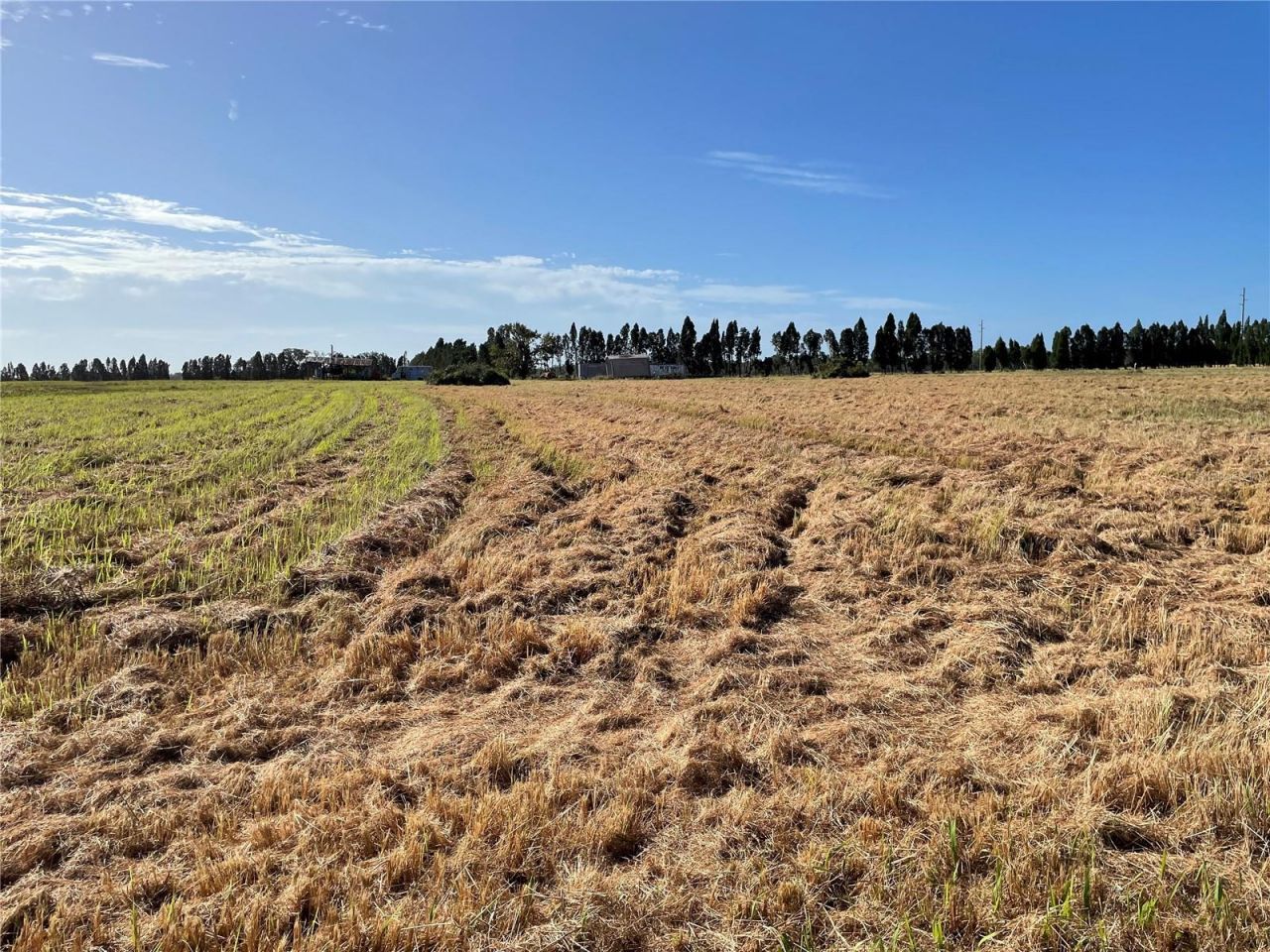 701 E 60 Highway, Plant City, FL 33567 Photo