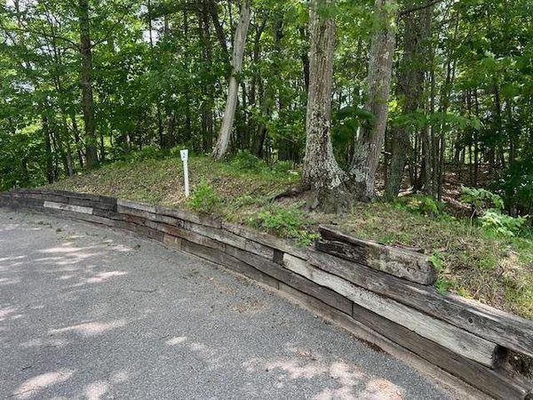 5095 Thorne Swift Court, Unit Lot 2, Harbor Springs, MI 49740
