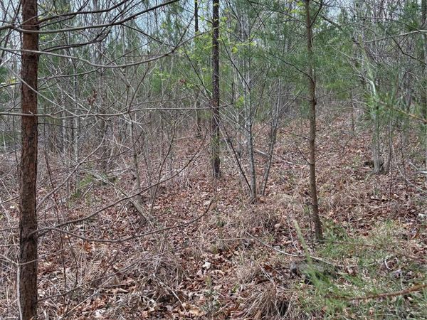 0 Rose Hollow Drive, Mill Spring, NC 28756