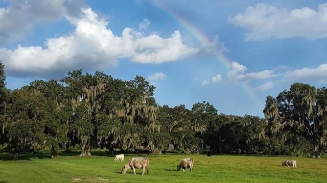 3650 Lake Tohopekaliga Road, Saint Cloud, FL 34772 Photo