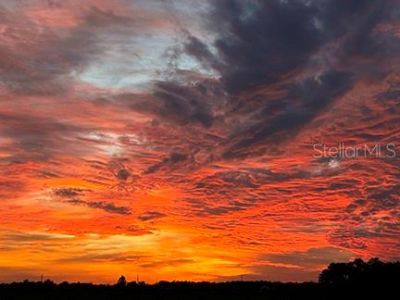 3650 Lake Tohopekaliga Road, Saint Cloud, FL 34772 Photo