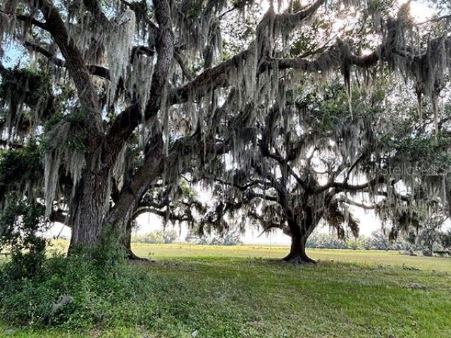 3650 Lake Tohopekaliga Road, Saint Cloud, FL 34772 Photo