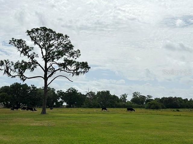 3650 Lake Tohopekaliga Road, Saint Cloud, FL 34772 Photo