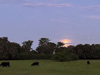 3650 Lake Tohopekaliga Road, Saint Cloud, FL 34772 Photo