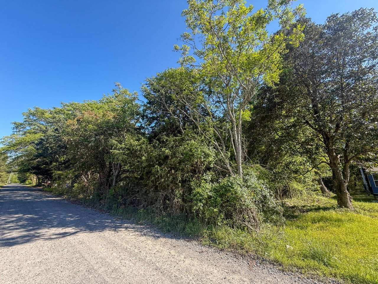 351 Dingle Lane Photo 10