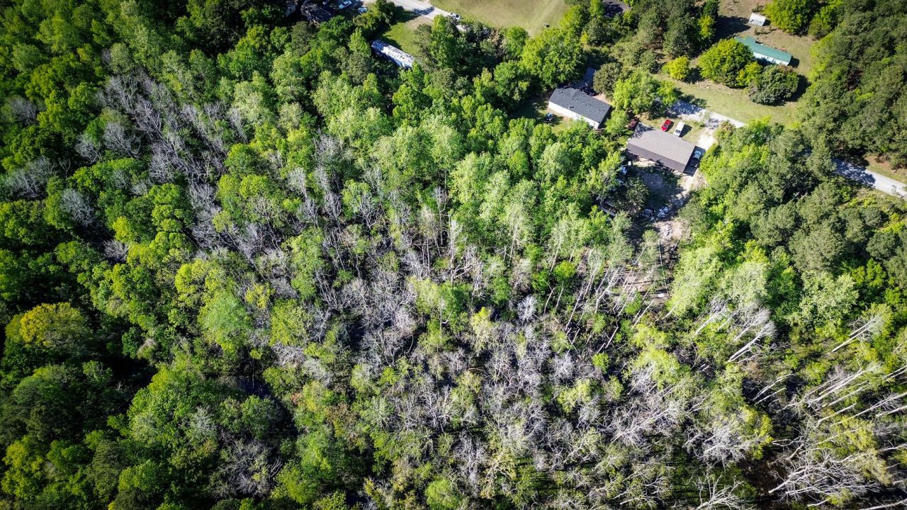 351 Dingle Lane Photo 11