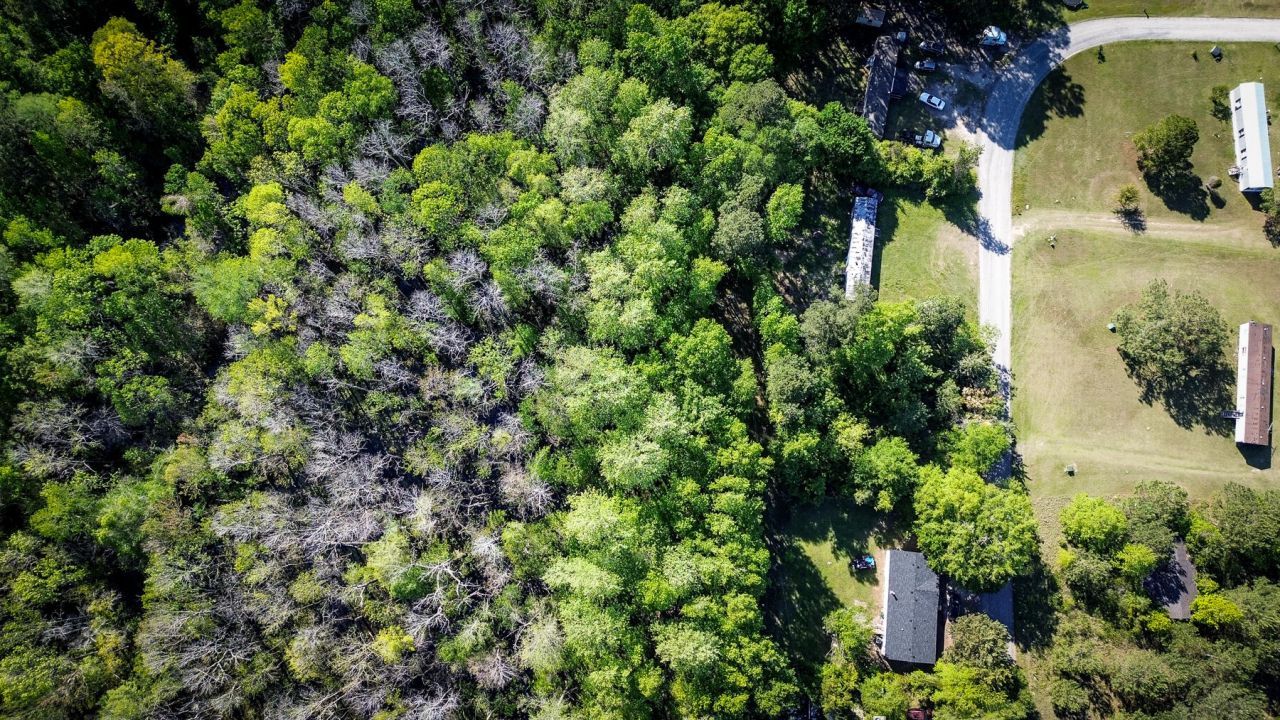 351 Dingle Lane Photo 12