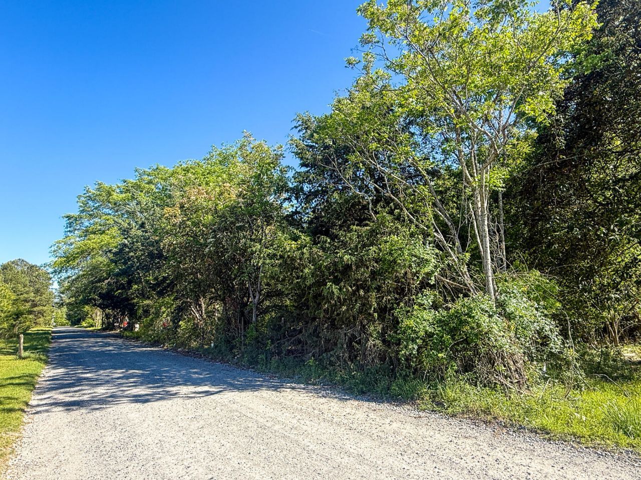 351 Dingle Lane Photo 13